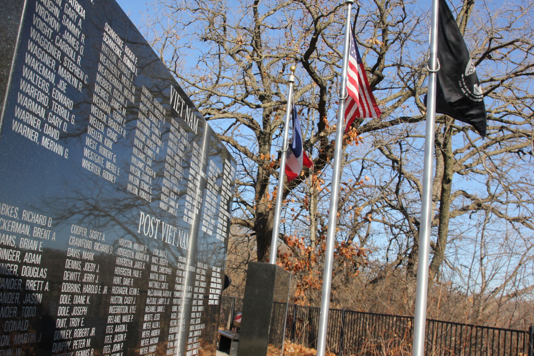 IF_Veterans_Day_2020 (4).JPG